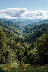 Fototapeta premium experience breathtaking beauty of appalachian mountains during summer season where lush green forests meet
