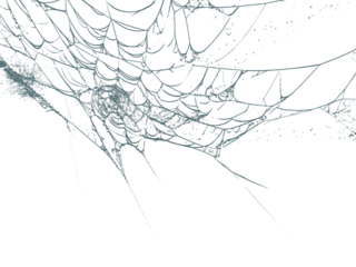 Intricate spiderweb design with a caught orb against a dark backdrop creating a spooky Halloween or nature themed aesthetic