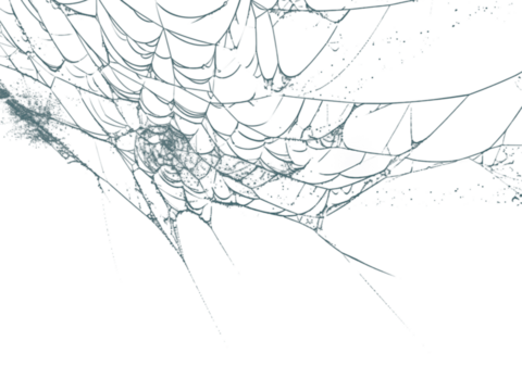 Intricate spiderweb design with a caught orb against a dark backdrop creating a spooky Halloween or nature themed aesthetic