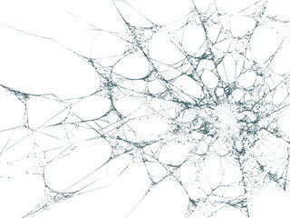 Intricate spiderweb formation creates an eerie, delicate, and slightly unsettling effect for Halloween or spooky themed designs