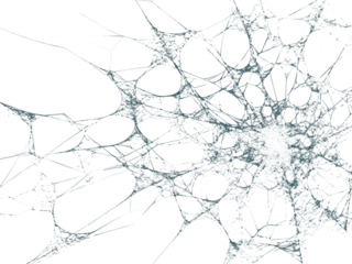 Intricate spiderweb formation creates an eerie, delicate, and slightly unsettling effect for Halloween or spooky themed designs