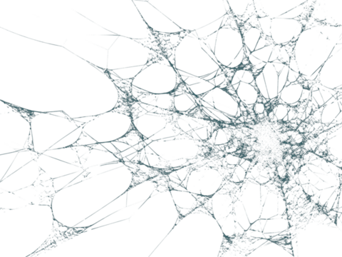 Intricate spiderweb formation creates an eerie, delicate, and slightly unsettling effect for Halloween or spooky themed designs