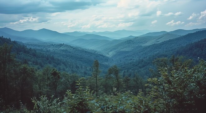 Misty mountain range vista, dense forest - Powered by Adobe