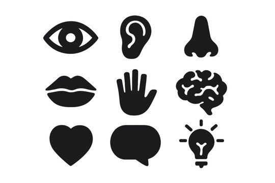 Sense Check Icon Sense Icons