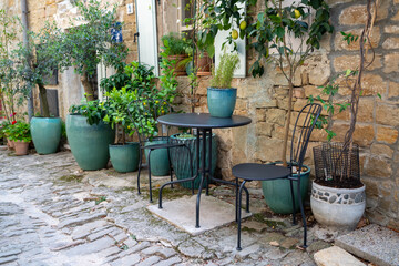 Cozy Mediterranean outdoor cafe in Grožnjan, Croatia, with potted lemon tree, olive plants and...