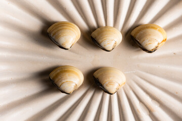 Clams on a bright plate