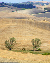 landscape in tuscany