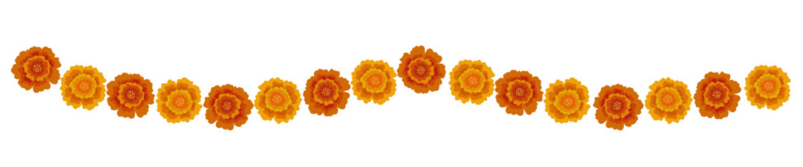 Yellow orange marigold flowers border. Indian traditional floral festive garland toran. Zendu flowers isolated on background Party decor for Halloween, Dia de los Muertos holiday. Vector illustration