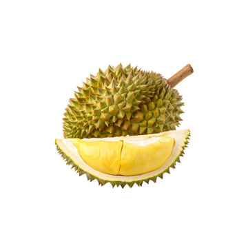 Isolated tropical fruit Monthong durian on white background