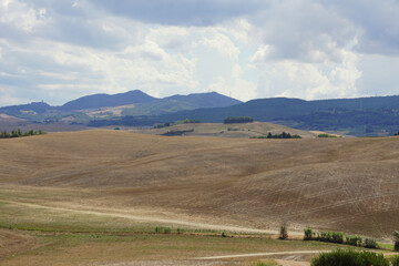 Fototapeta premium landscape with hills and mountains in valdera 