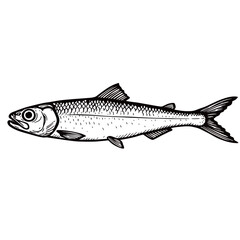 black and white silhouette vector of anchovy with white background