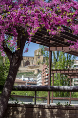 View of the old fortress and temple in the city of Lleida, in Spain