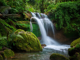 Waterfall scene promoting emotional connection to the natural world
Forest waterfall inspiring curiosity and environmental responsibility