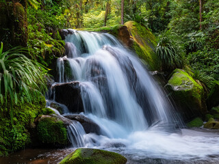 Obraz premium Forest waterfall inspiring curiosity and environmental responsibility Nature photo promoting sustainability and mindfulness in youth