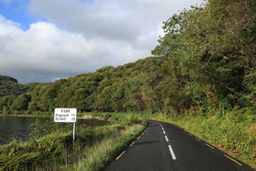 Winding Road bordered by forest and lake in rural County Leitrim, Ireland