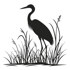 Heron standing in marsh silhouette