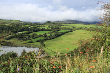Landscape in rural County Sligo, Ireland featuring Lough Colgagh bordered by hills of green field farmland pastures under cloudy skies with wildflowers blossoming in foreground