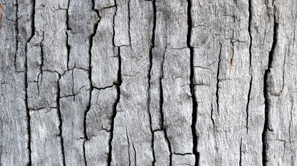 Obraz premium Natural bark pattern displaying intricate cracks and textures from aged wood in a forest environment