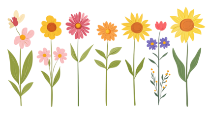 spring flower isolated on transparent background