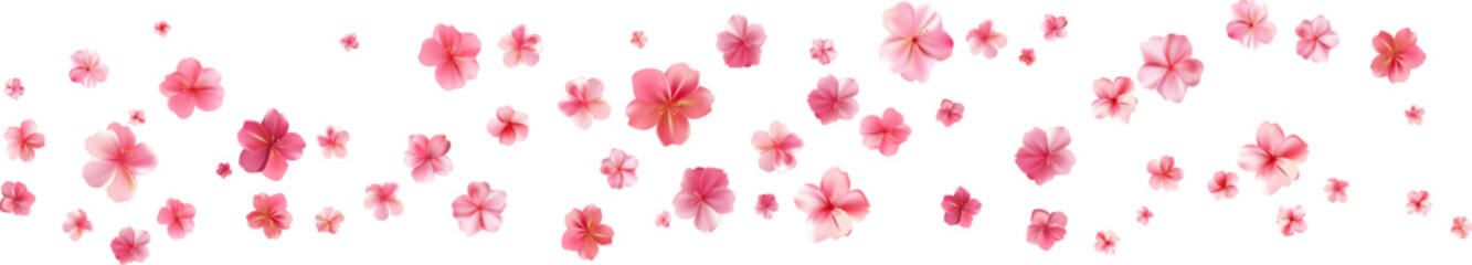 Delicate light pink sakura flowers flow. Wind swirls