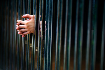 Obraz premium Hands Gripping Metal Bars Symbolizing Confinement and Isolation