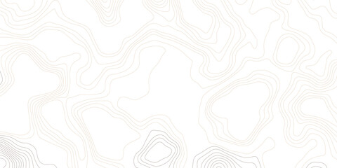 Geography landscape Topo contour map on white background, Topographic contour lines. Seamless pattern with lines Topographic map. Geographic mountain relief diagram line wave carve pattern. 