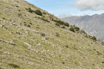 Grassy Rocky Slope with Distant Mountain Range