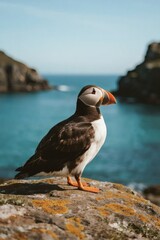 Fototapeta premium Tropical Bird Perched Gracefully in Natural Habitat
