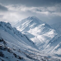 Fototapeta premium white snow mountain landscape Alaska