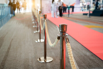 A long row of polished stanchions and braided ropes border a red carpet. People walk by in the background at what appears to be some type of event