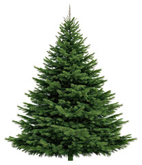 Obraz premium PNG A Christmas tree decoration christmas pine.