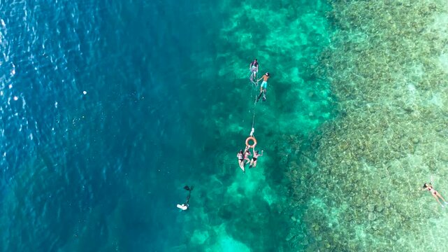 Aerial view of several adults snorkeling in shallow, clear turquoise ocean water over a coral reef, with some holding a lifebuoy, Moalboal, Cebu.