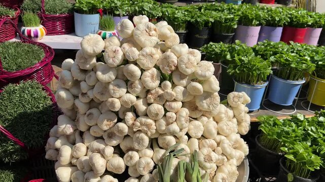 Tehran Tajrish farmer market local people Bazaar Nowruz vibe white garlic fresh green basket Persian tradition organic vegetables fruits shopping market lifestyle healthy delicious grocery celebration