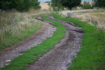 Obraz premium Summer country road