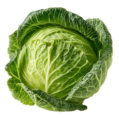 Obraz premium A single round green cabbage with ruffled leaves on a plain background view isolated on transparent background