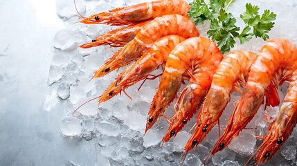 Fresh boiled shrimps neatly arranged on ice ready
