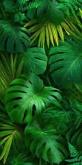 Lush Tropical Foliage