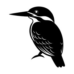 Silhouette of a kingfisher bird perched with detailed feather design