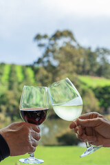 Close up of two people toasting with a glass of Shiraz and a glass of Chardonnay wine at a winery in Pemberton, Western Australia