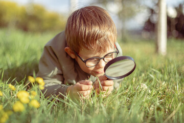 5 year old boy with magnifying glass in hands exploring and studying plants and insects in park