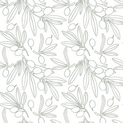 Seamless pattern drawing olive branch green decor vector. Hand painted floral illustration olives fruit tree branches leaves background green. Drawings food. Edible foliage. Fabric wrapping menu decor