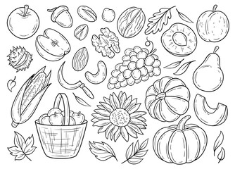 Harvest vegetables and fruits isolated clip art, black and white line art, food doodles detailed illustration, hand drawn veggies stickers outline drawings, organic food doodle illustration, contours