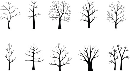 Obraz premium Tree silhouettes collection, bare branches, winter forest icons, seasonal nature elements, ecology concept, plant shapes, vector illustration, abstract landscape design