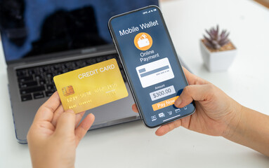 E-wallet payment, credit card transaction and digital finance concept, woman holding smartphone and credit card making secure online shopping purchase, fintech, e-commerce and digital wallet payment
