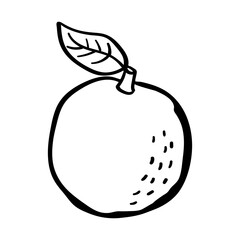 Hand drawn orange illustration.