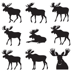 Silhouette Set of Moose Poses on White Background Wildlife Illustration Vector Design Animal Graphics Northern Mammal Forest Animals Woodland Creatures Nature Clip Art