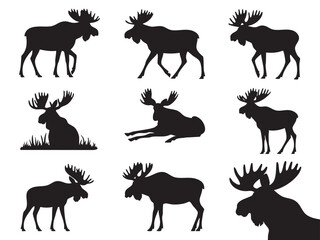 Fototapeta premium Black Silhouette of Moose in Various Poses Wildlife Mammal Vector Illustration Graphic Design Element for Decoration and Design Projects