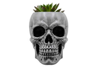 Skull shaped planter with succulent plant isolated on transparent background