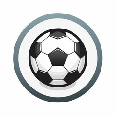 Obraz premium soccer ball isolated on white