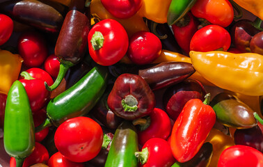 Colorful Bell Peppers Close-Up, Fresh Organic Vegetables